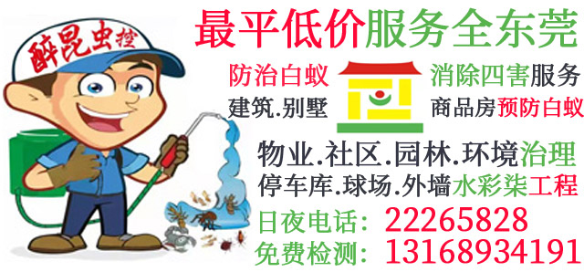 醉昆电话，白蚁防控联系电话