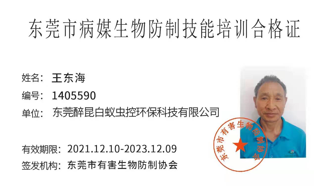 <b>技能合格证</b>