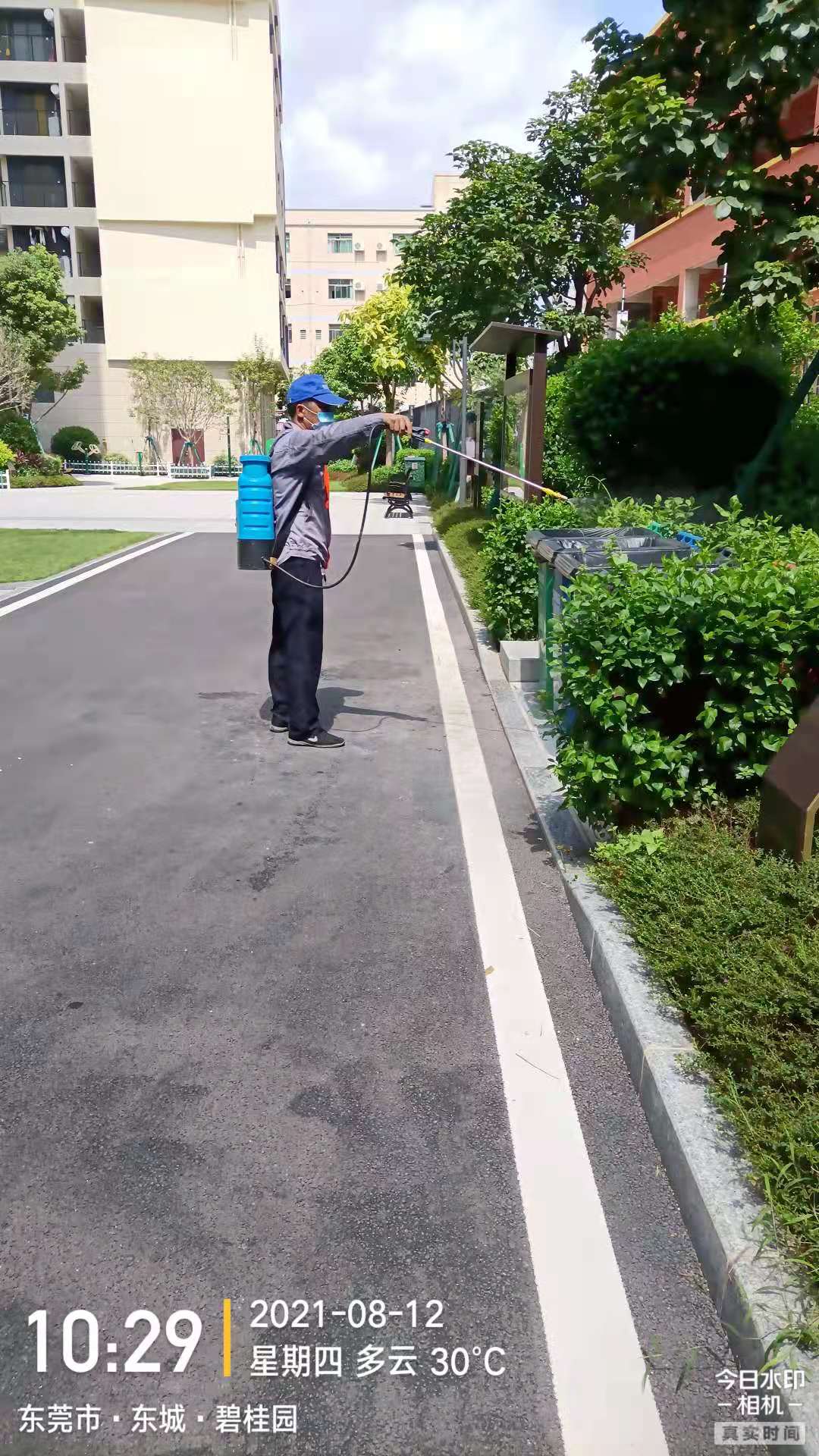 住宅区专业灭蚊虫