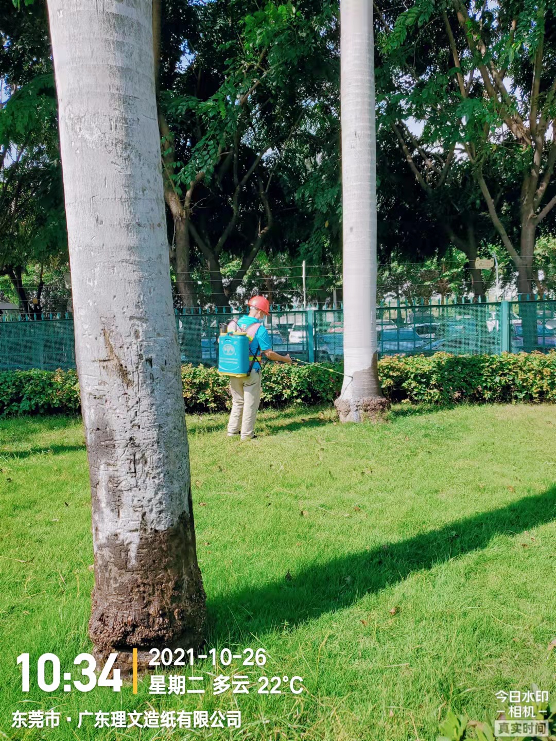 工厂园区杀白蚁