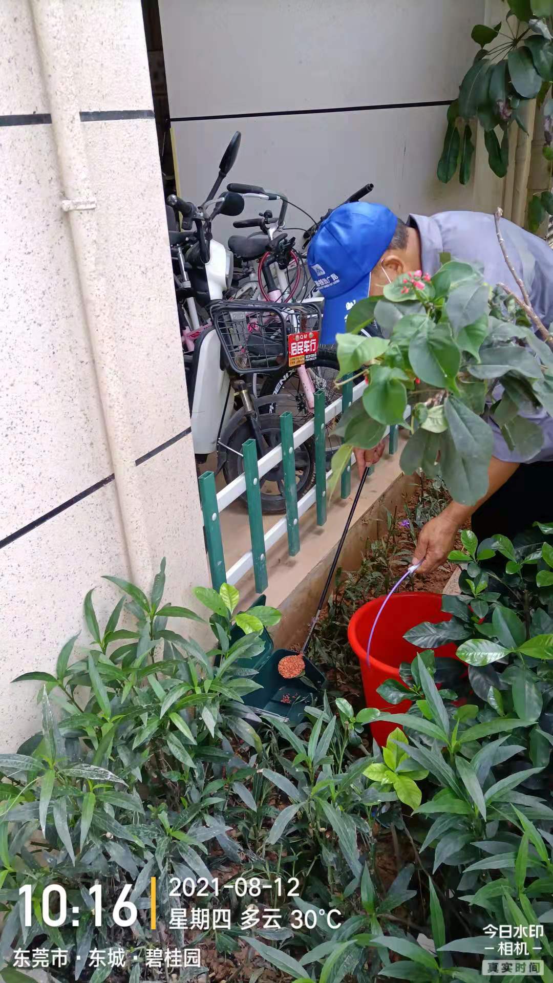 小区灭鼠