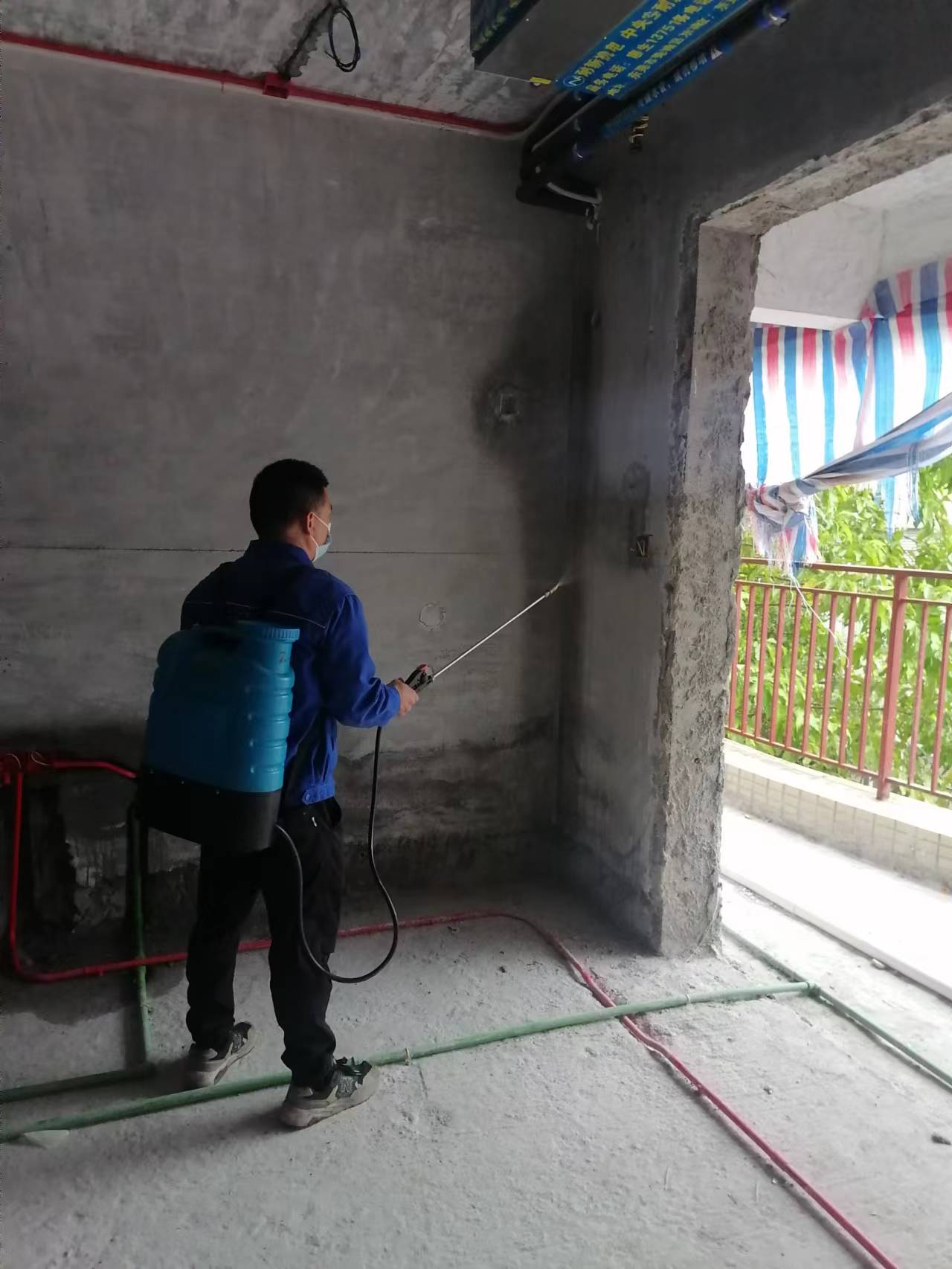 <b>别墅装修灭白蚁</b>