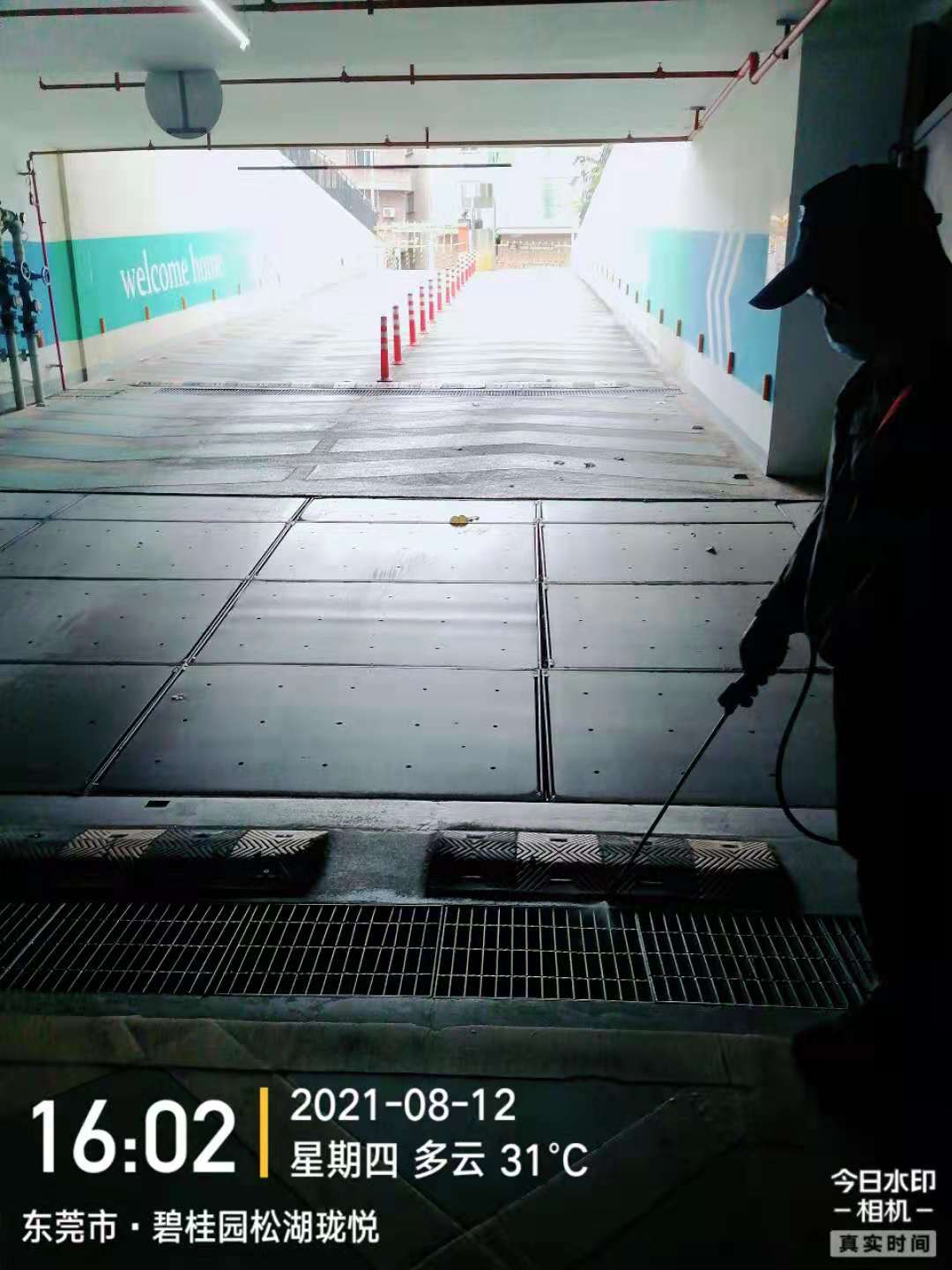 <b>地下室消杀</b>
