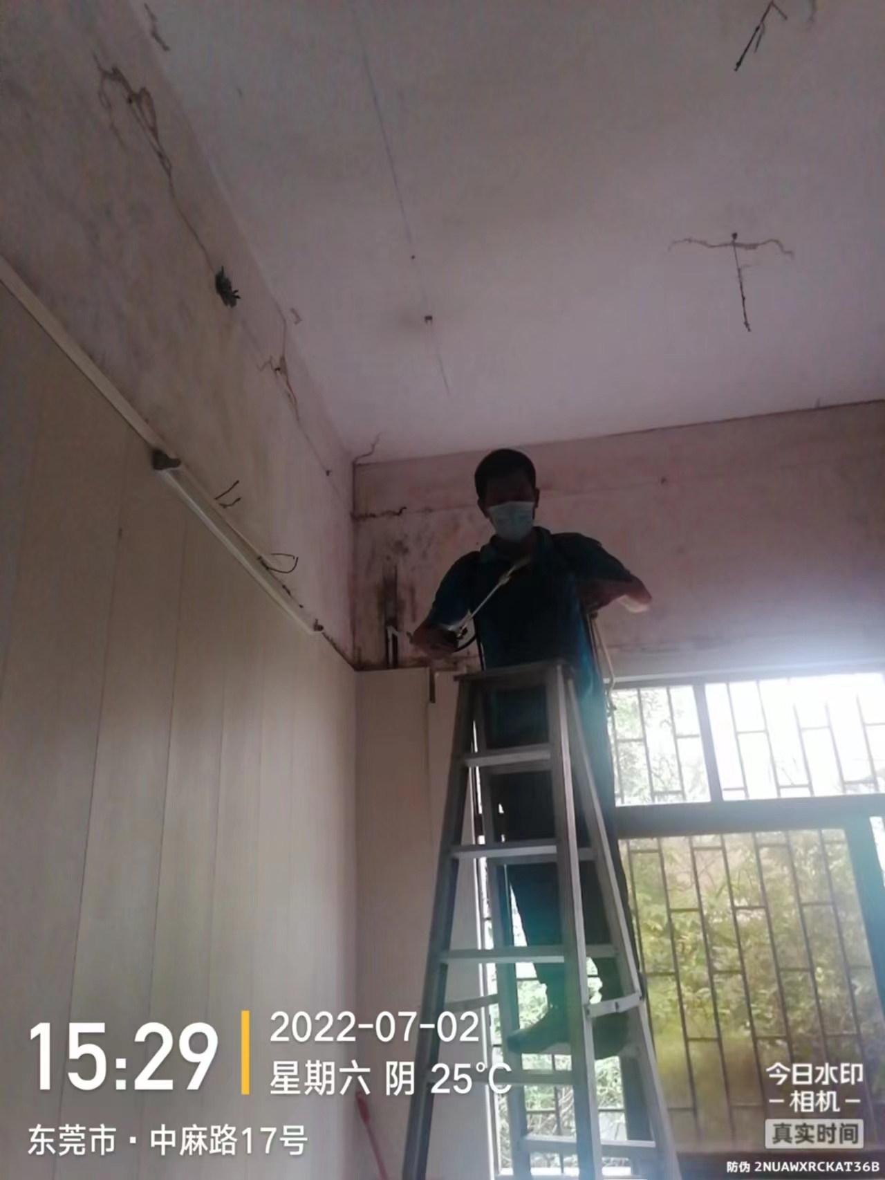 <b>房屋灭白蚁</b>
